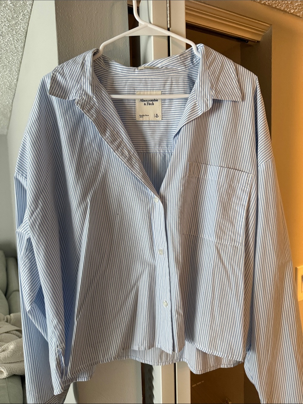 Abercrombie & Fitch Blue and White Vertical Stripe Shirt